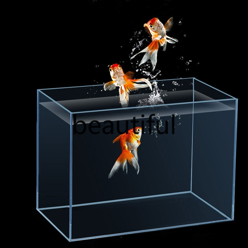 Planted Aquarium For Goldfish - ตู้ปลาแก้วใสพิเศษ จินจิง สำหรับปลูกพืชน้ำ ปลาทอง เต่า ปลาคราฟ