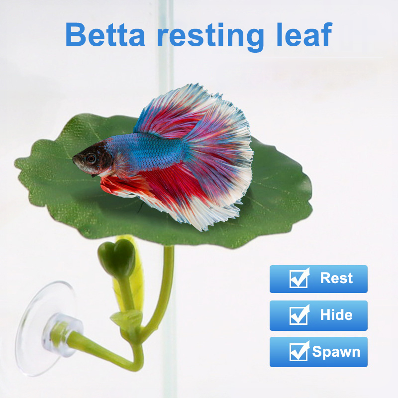 Planted Aquarium For Betta - เปลใบไม้สีเขียว 1 ชิ้น สำหรับปลาเบต้า ลดความเครียด ตกแต่งตู้ปลาได้อย่างปลอดภัย