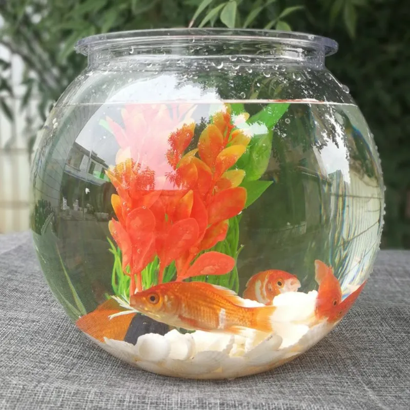 Planted Aquarium For Goldfish - ชามปลาทองเดสก์ท็อปโปร่งใสพลาสติก Aquarium รอบเต่าถังอะคริลิคถังปลาสีเขียวพืชหม้อ