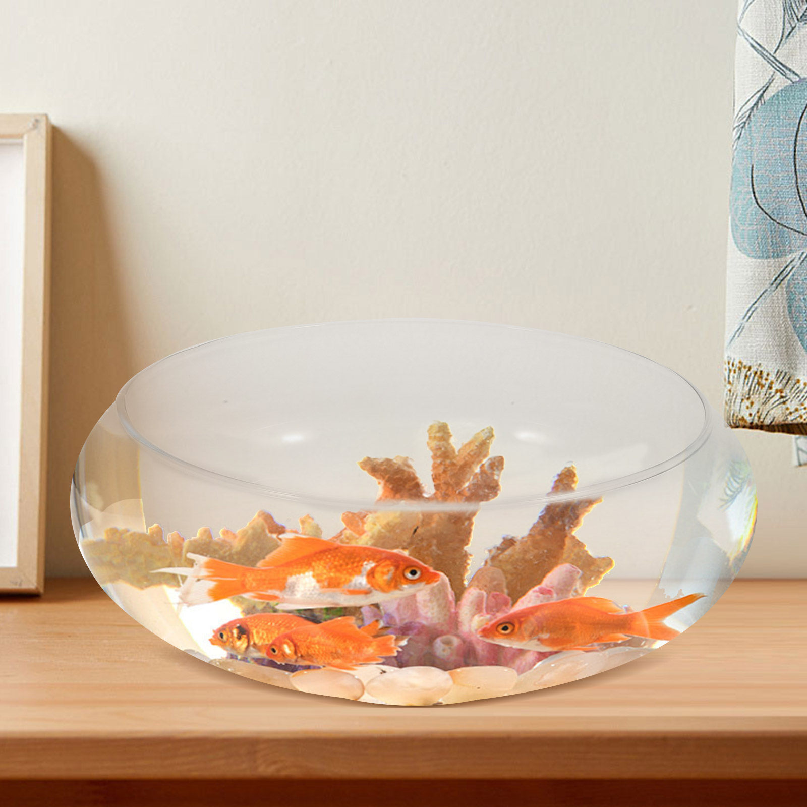 Planted Aquarium For Goldfish - ตู้ปลาแก้วใสพรีเมียมขนาดเล็กสำหรับตั้งโต๊ะ เหมาะสำหรับปลาทอง พืช ไฮโดรโปนิกส์ ภาชนะปลูกดอกไม้ ทรงกลม