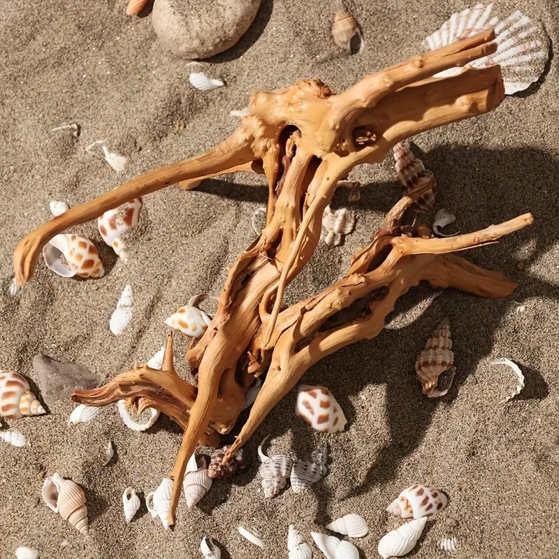 Aquarium Plant Root Tabs - 7-26 ซม.4 ขนาด Driftwood Cuckoo Roots