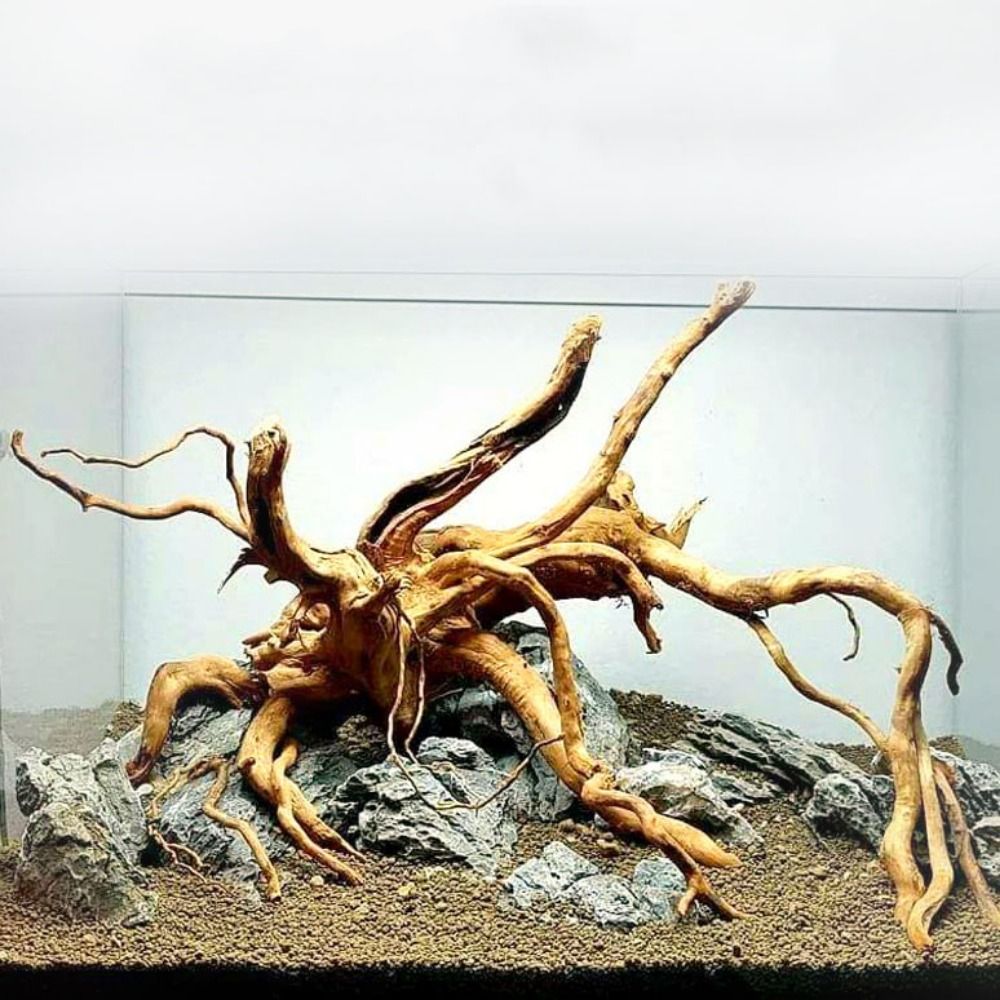 Aquarium Plant Root Tabs - ลำต้นของต้นไม้ธรรมชาติตกแต่งงานไม้ตกแต่งงานศิลปะที่ทำจากไม้กิ่งไม้กิ่งไม้อุปกรณ์ตกแต่งตู้ปลา