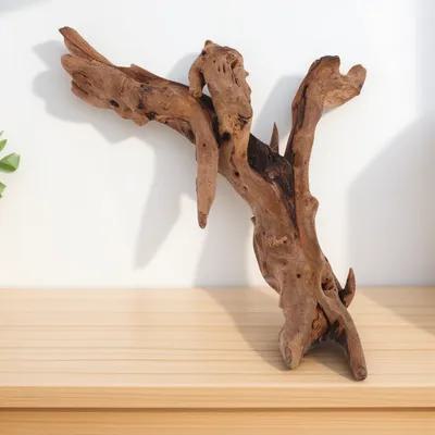Aquarium Plant Root Tabs - ของตกแต่งตู้ปลาไม้แห้ง 20-25 ซม. งานไม้ธรรมชาติสำหรับตู้ปลา ตกแต่งใต้น้ำ ไม้แห้งสำหรับตู้ปลา