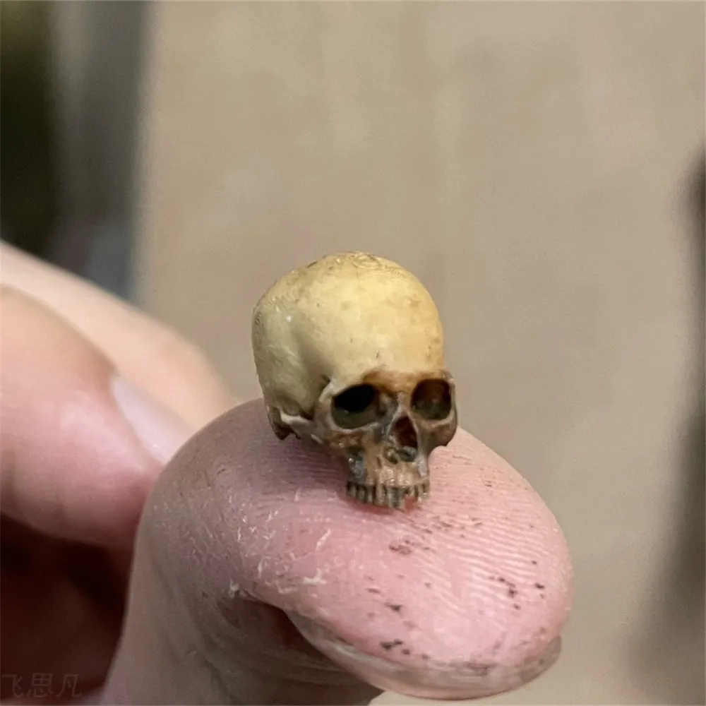 Aquarium Plant Display - Mini Skull คุณภาพสูง Miniature สําหรับตกแต่งบ้านฮาโลวีนตุ๊กตาพืชตกแต่งถังปลา