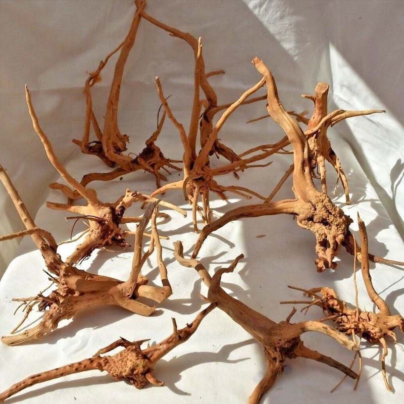 Aquarium Plant Root Tabs - ไม้ลอยน้ำสำหรับตู้ปลา 1 ชิ้น ไม้กิ่งแมงมุมธรรมชาติ ของตกแต่งตู้ปลา รูปทรงลำต้น