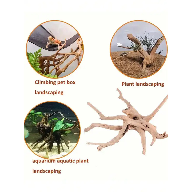 ไม้ลอยน้ำธรรมชาติสำหรับตกแต่งต - Aquarium Plant Root Tabs บทวิจารณ์และราคา