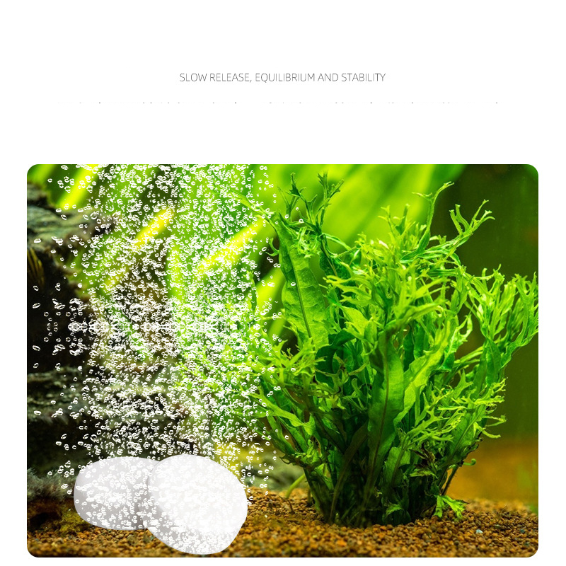 ISTA Fish Tank Aquarium CO2แท็ - Planted Aquarium Without Fish บทวิจารณ์และราคา