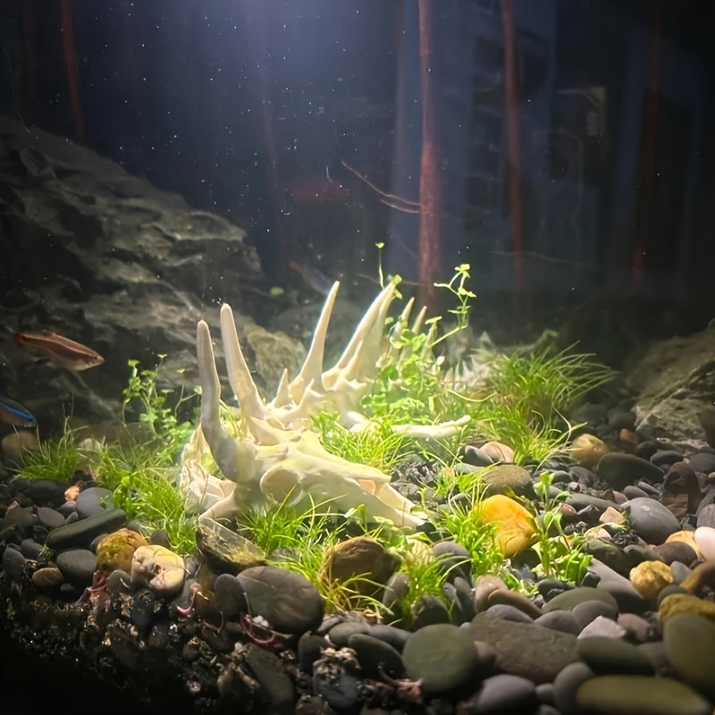 ของตกแต่งตู้ปลา รูปกระดูกมังกร - Aquarium Plant Root Tabs บทวิจารณ์และราคา