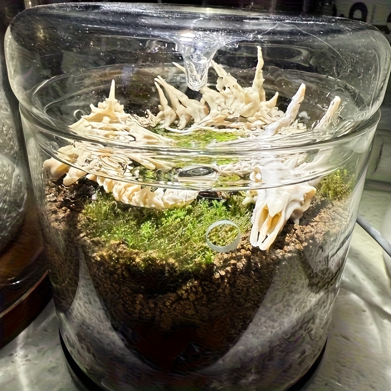 ของตกแต่งตู้ปลา รูปกระดูกมังกร - Aquarium Plant Root Tabs บทวิจารณ์และราคา
