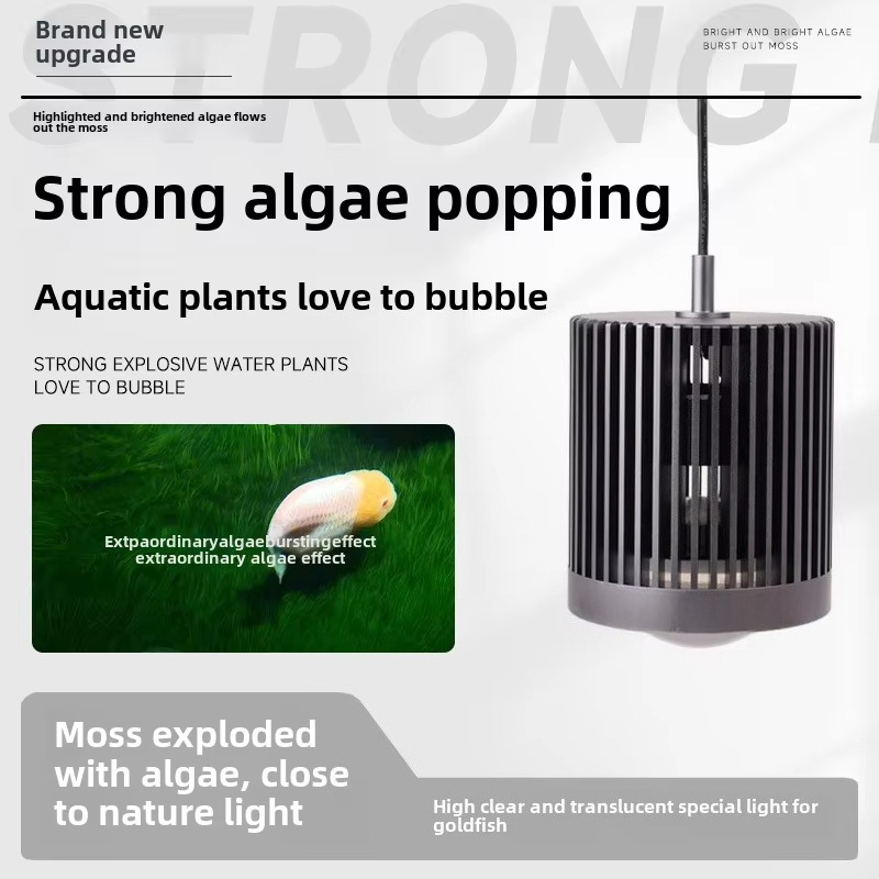 ไฟ LED สกายนูโอ ซุปเปอร์คัลเลอ - Planted Aquarium For Goldfish บทวิจารณ์และราคา