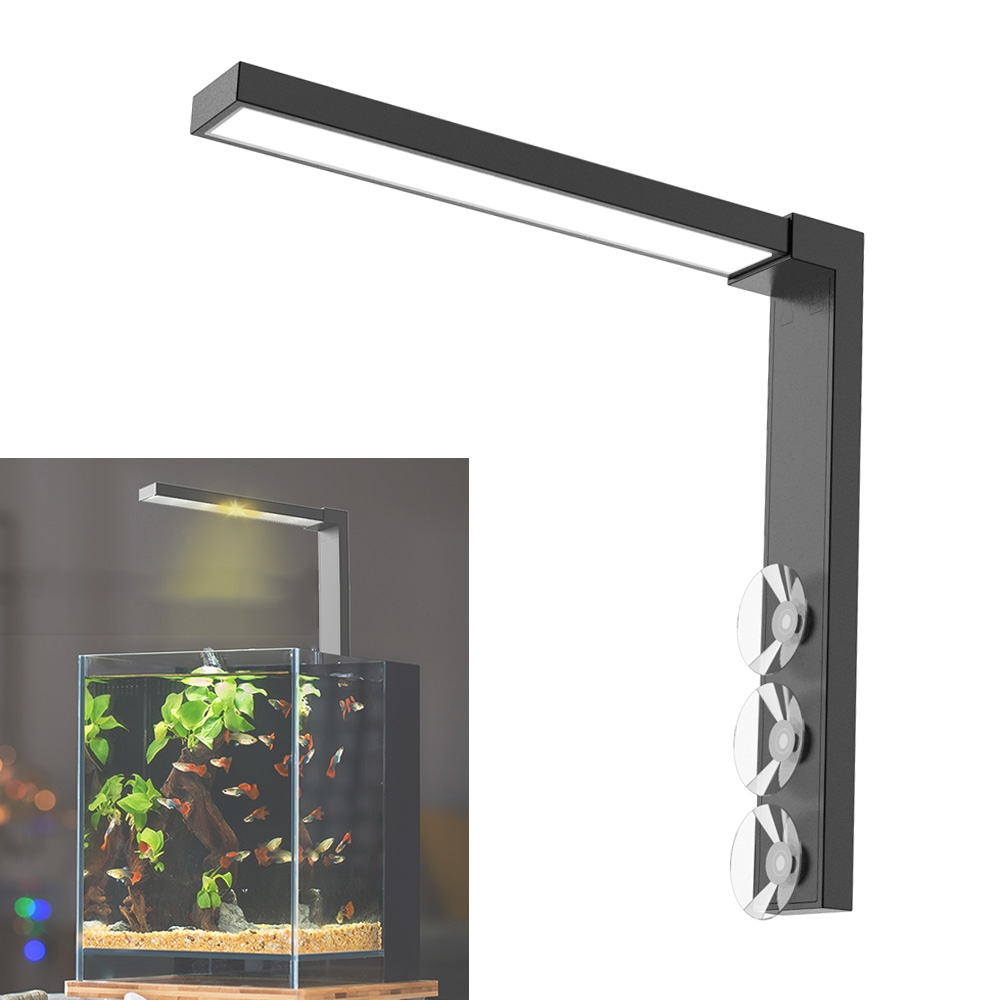 ABS ชามปลาขนาดเล็กไฟ LED ตั้งโ - Aquarium Plant Display บทวิจารณ์และราคา