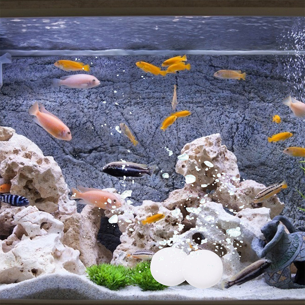 เม็ด CO2 3 ถุง สารเสริมที่มีปร - Aquarium Plant Nutrients บทวิจารณ์และราคา