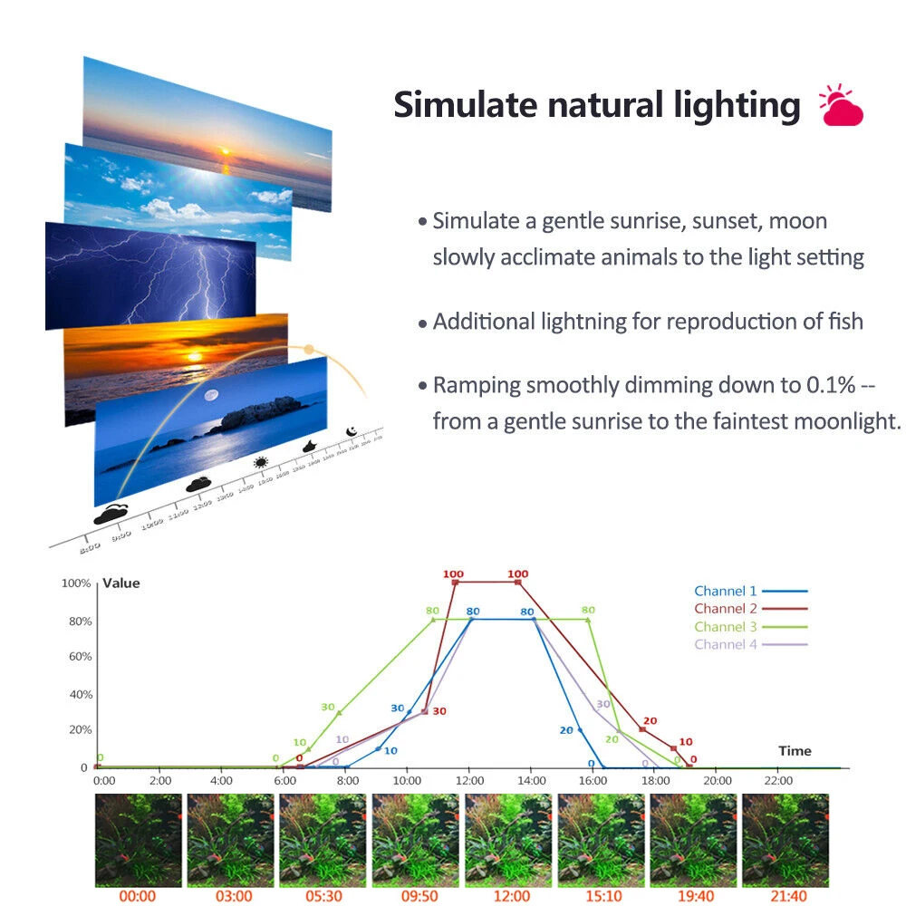 PopBloom Professional ปลูก Aqu - Planted Aquarium Freshwater บทวิจารณ์และราคา