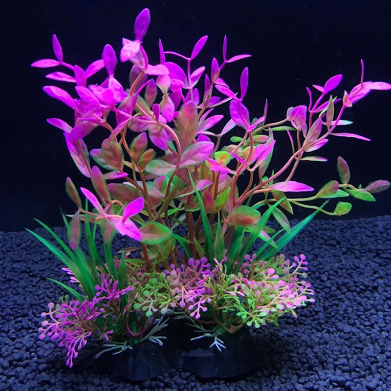 ตกแต่งตู้ปลา พืชจําลองหลากหลาย - Aquarium Plant Varieties บทวิจารณ์และราคา