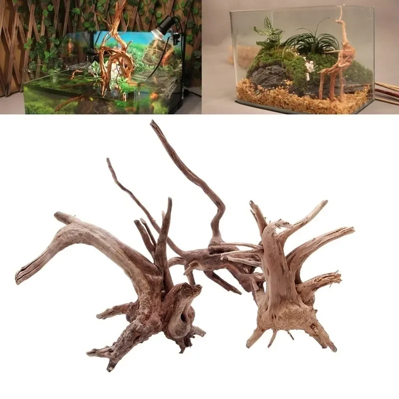 ต้นไม้ธรรมชาติลำต้นไม้ดริฟท์วู - Aquarium Plant Root Tabs บทวิจารณ์และราคา