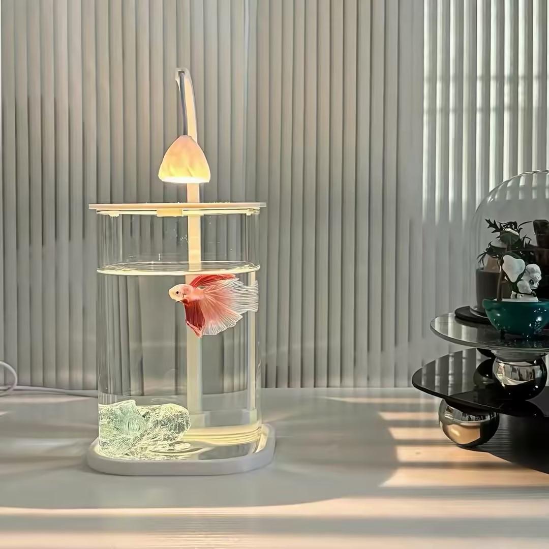360 °   ตู้ปลาตั้งโต๊ะแบบพาโนร - Planted Aquarium For Betta บทวิจารณ์และราคา