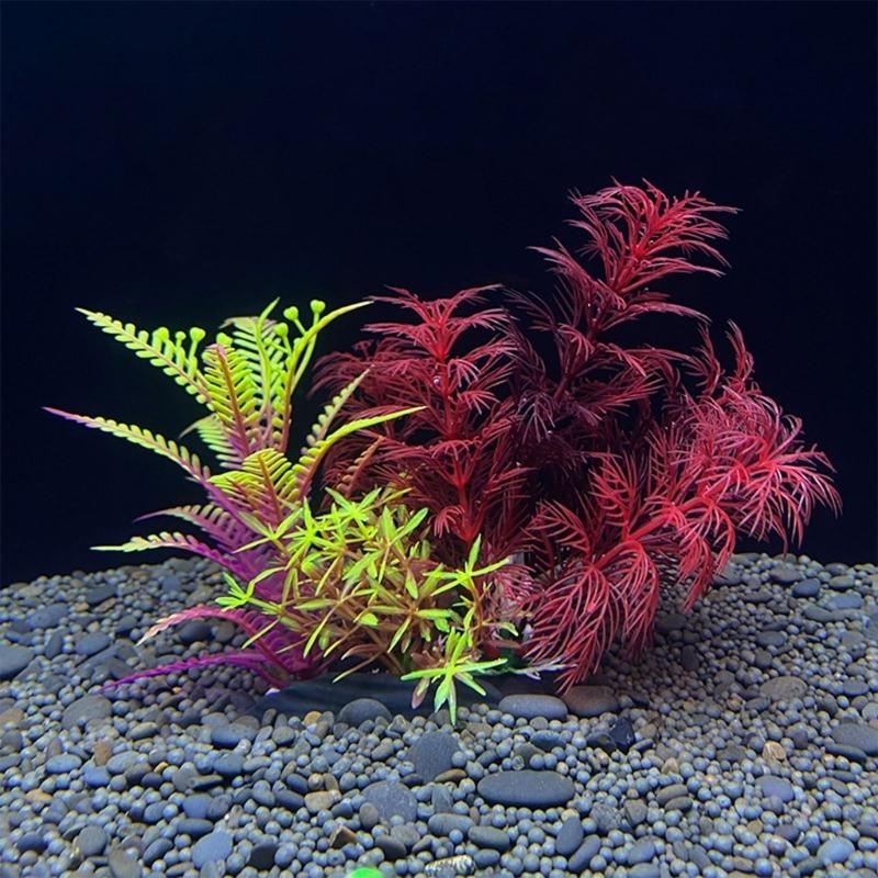 ต้นไม้ประดับตู้ปลา ของตกแต่งตู - Planted Aquarium Best Fish บทวิจารณ์และราคา