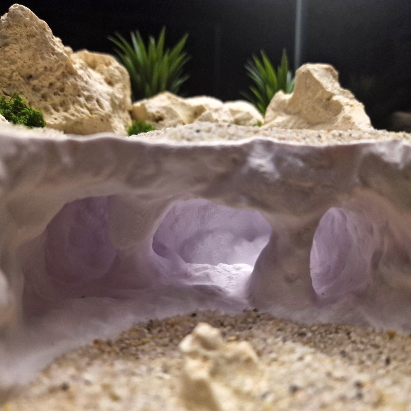 ของตกแต่งตู้ปลาแบบถ้ำแฉกพิมพ์  - Aquarium Plant Root Tabs บทวิจารณ์และราคา