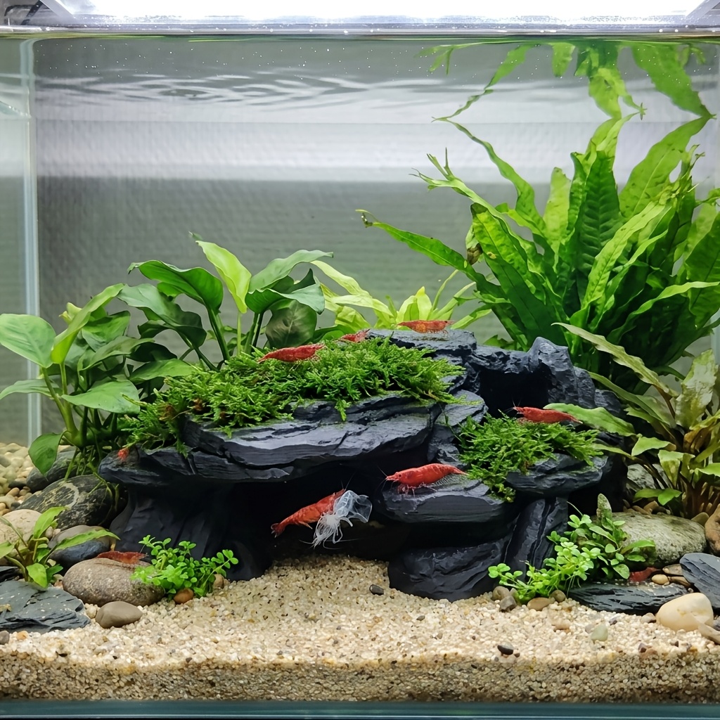 ตกแต่งตู้ปลาแบบถ้ำ PLA พร้อมแท - Aquarium Plant Root Tabs บทวิจารณ์และราคา