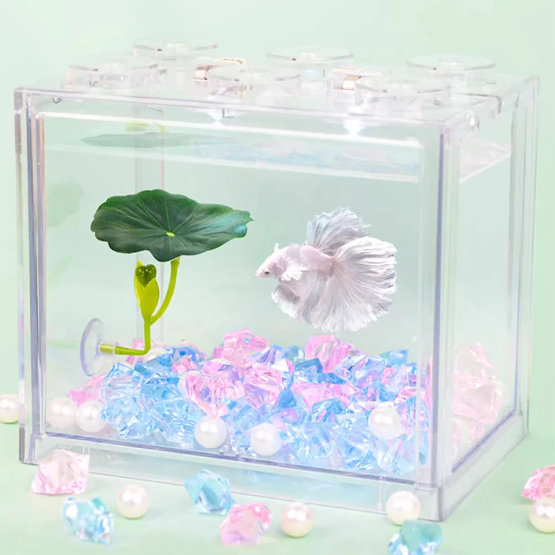 เปลญวนใบไม้สีเขียวสำหรับปลาเบต - Planted Aquarium For Betta บทวิจารณ์และราคา