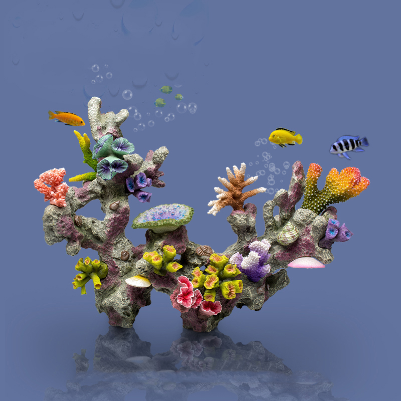 Betta เครื่องประดับอ่างปลาหินป - Planted Aquarium For Betta บทวิจารณ์และราคา