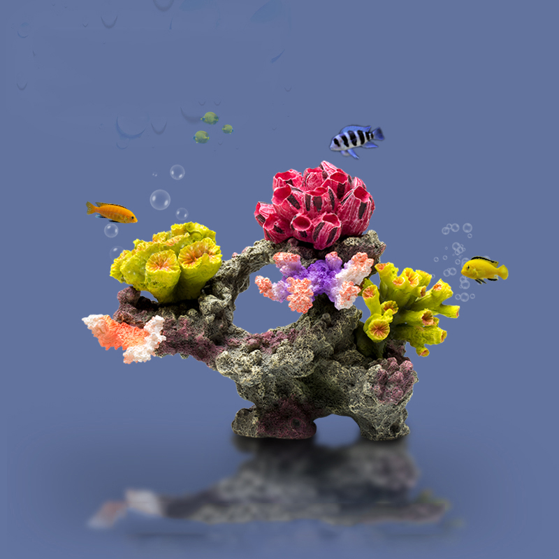 Betta เครื่องประดับอ่างปลาหินป - Planted Aquarium For Betta บทวิจารณ์และราคา
