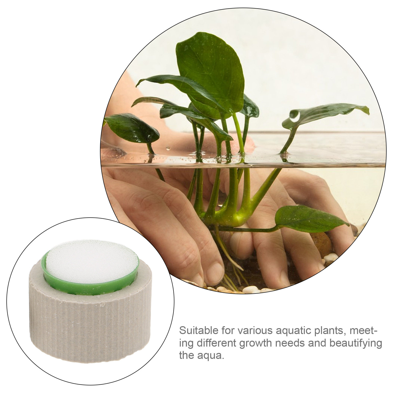 ชุดวงแหวนยึดต้นไม้ในตู้ปลาเซรา - Aquarium Plant Nutrients บทวิจารณ์และราคา