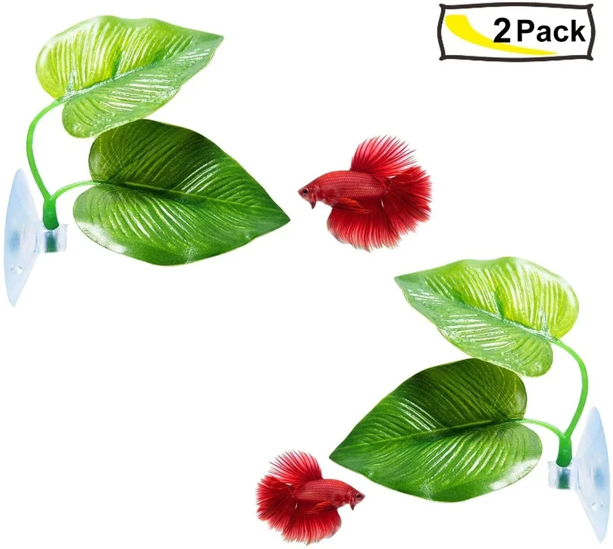 เปลญวนใบปลา Betta จําลองที่อยู - Planted Aquarium For Betta บทวิจารณ์และราคา