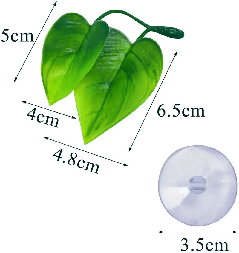 เปลญวนใบปลา Betta จําลองที่อยู - Planted Aquarium For Betta บทวิจารณ์และราคา