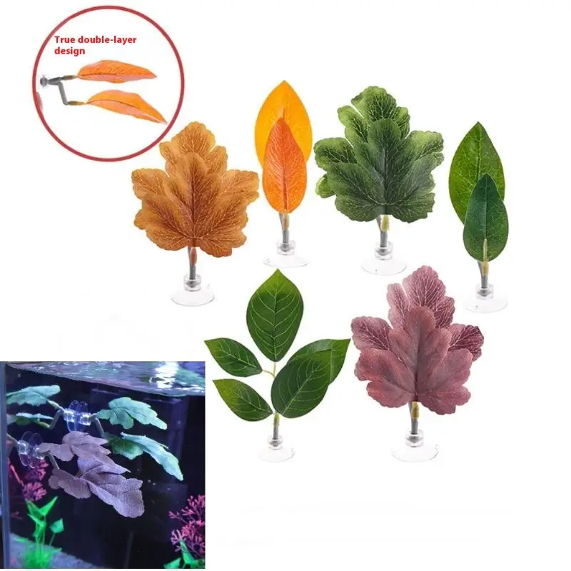 เปลใบไม้สำหรับปลากัด ตกแต่งตู้ - Planted Aquarium For Betta บทวิจารณ์และราคา