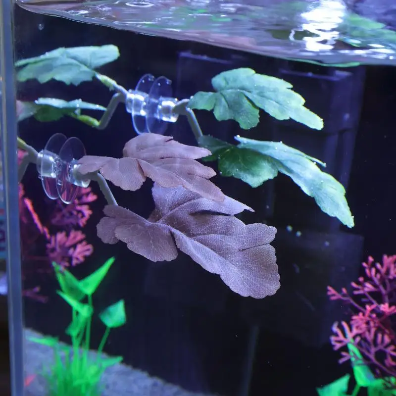 เปลใบไม้สำหรับปลากัด ตกแต่งตู้ - Planted Aquarium For Betta บทวิจารณ์และราคา