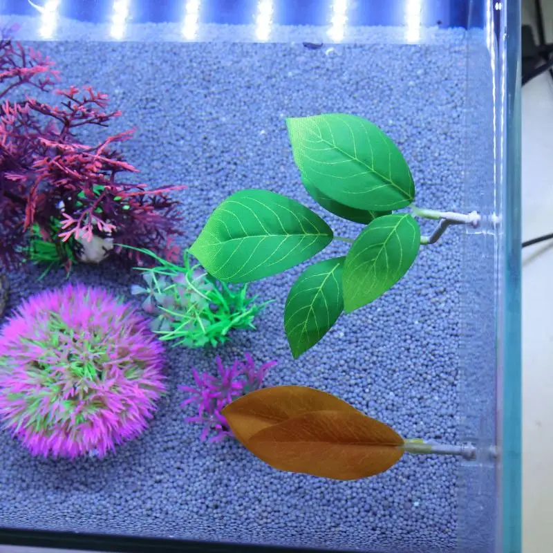 เปลใบไม้สำหรับปลากัด ตกแต่งตู้ - Planted Aquarium For Betta บทวิจารณ์และราคา