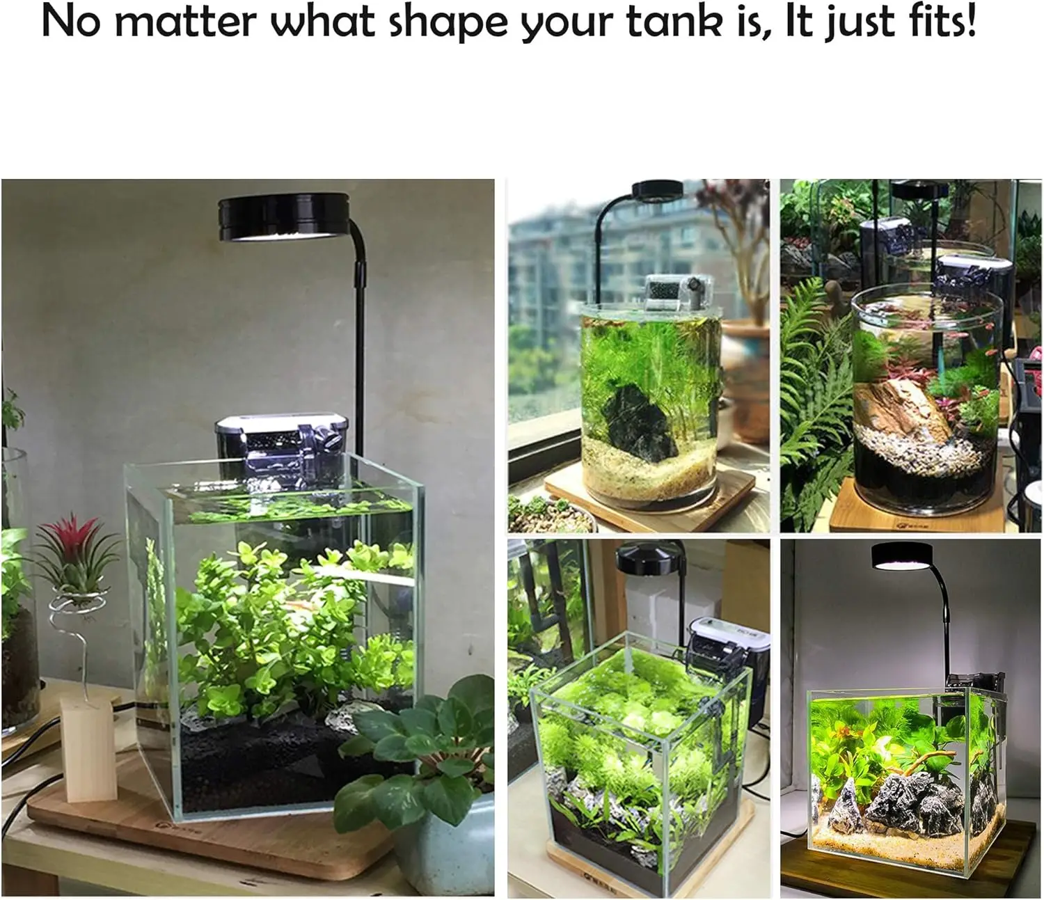 LED Aquarium Grow Light พร้อมก - Planted Aquarium For Betta บทวิจารณ์และราคา