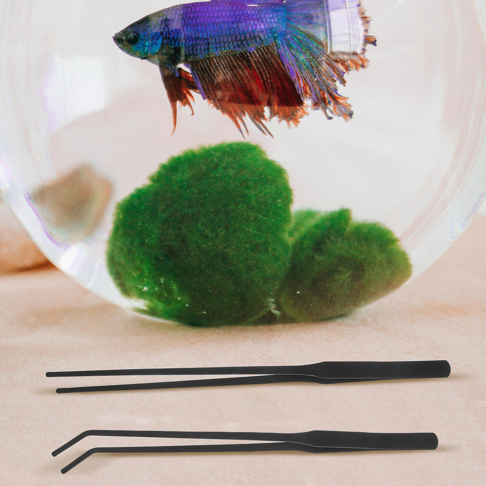 ชุดอุปกรณ์บำรุงรักษาตู้ปลา 4 ช - Planted Aquarium Maintenance Kit บทวิจารณ์และราคา
