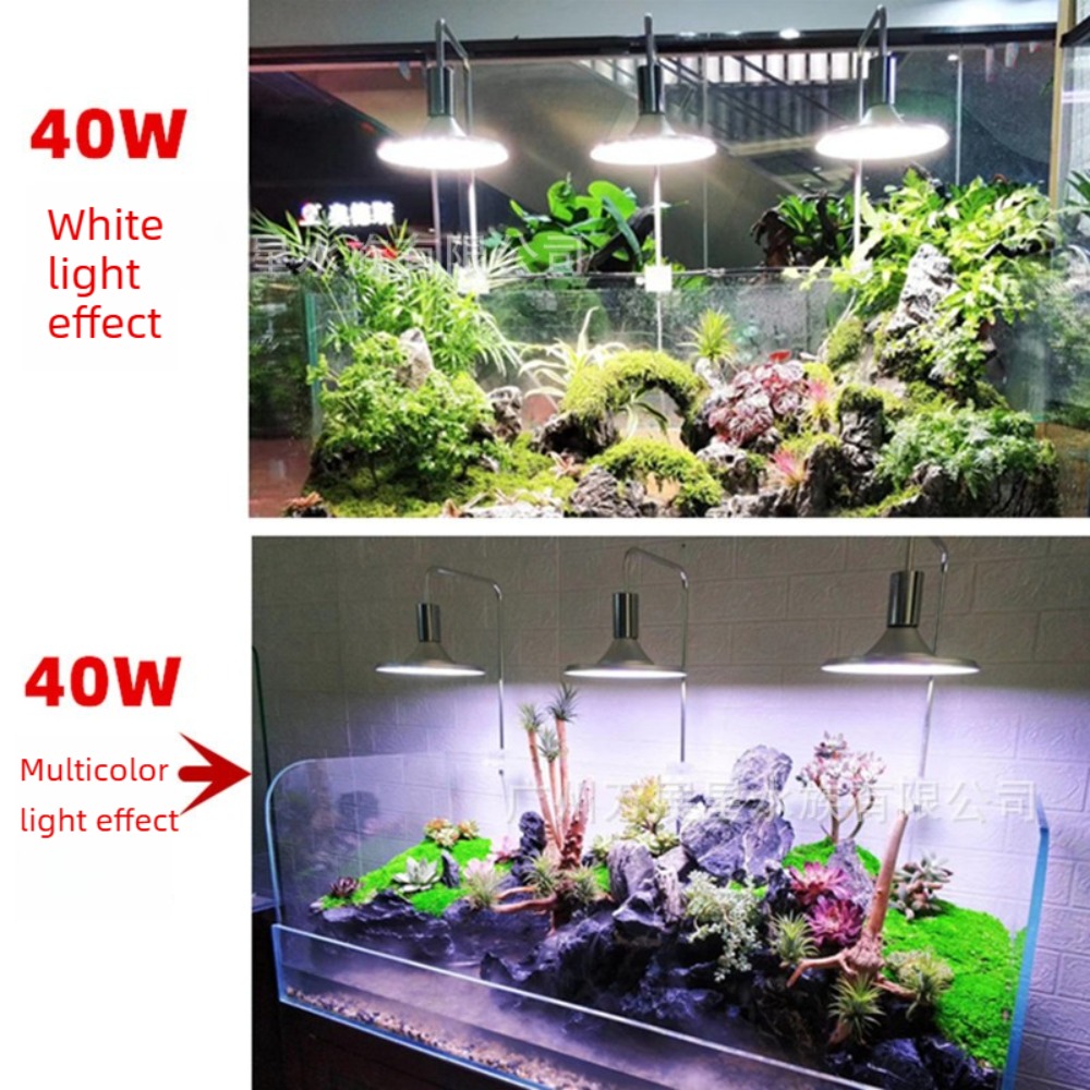 ไฟ LED สำหรับตู้ปลาพร้อมขายึดป - Planted Aquarium Freshwater บทวิจารณ์และราคา