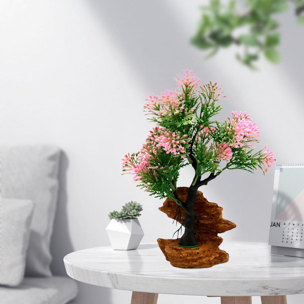 ของตกแต่งตู้ปลาพลาสติกสำหรับปล - Planted Aquarium Freshwater บทวิจารณ์และราคา