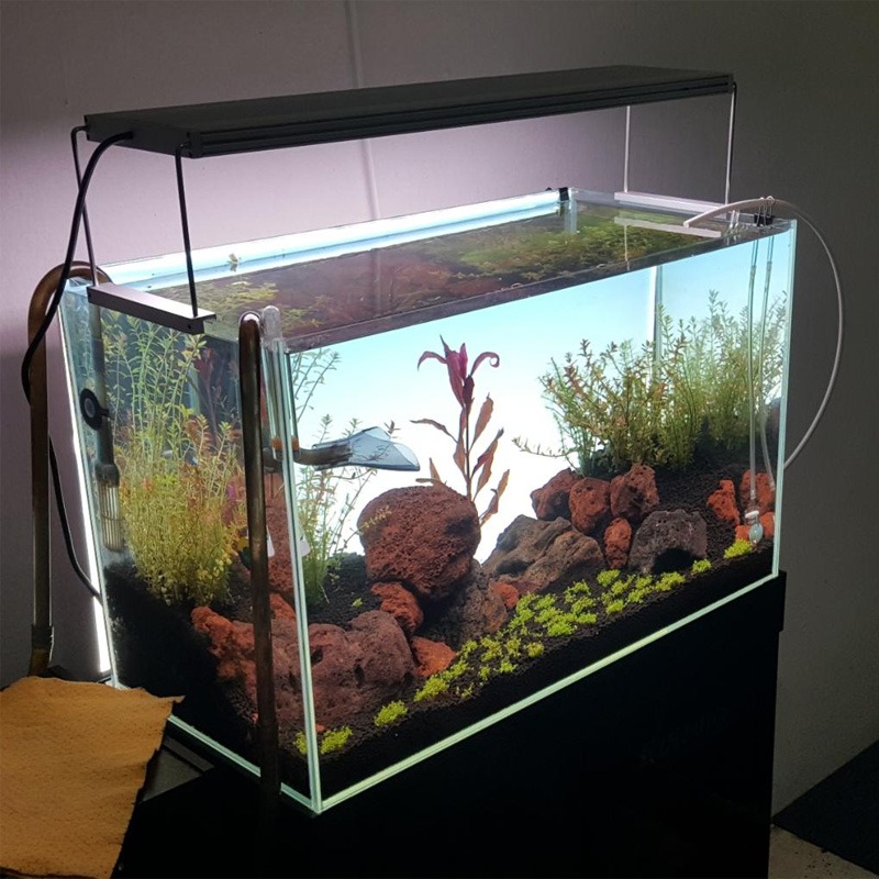 โคมไฟ LED สำหรับตู้ปลาขนาด 600 - Planted Aquarium Best Fish บทวิจารณ์และราคา