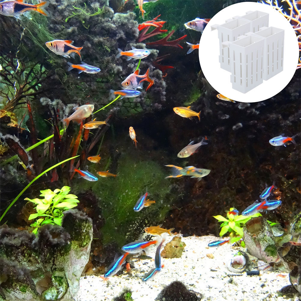 ตะกร้าปลูกพืชน้ำแบบแขวน 4 ชิ้น - Aquarium Plant Nutrients บทวิจารณ์และราคา