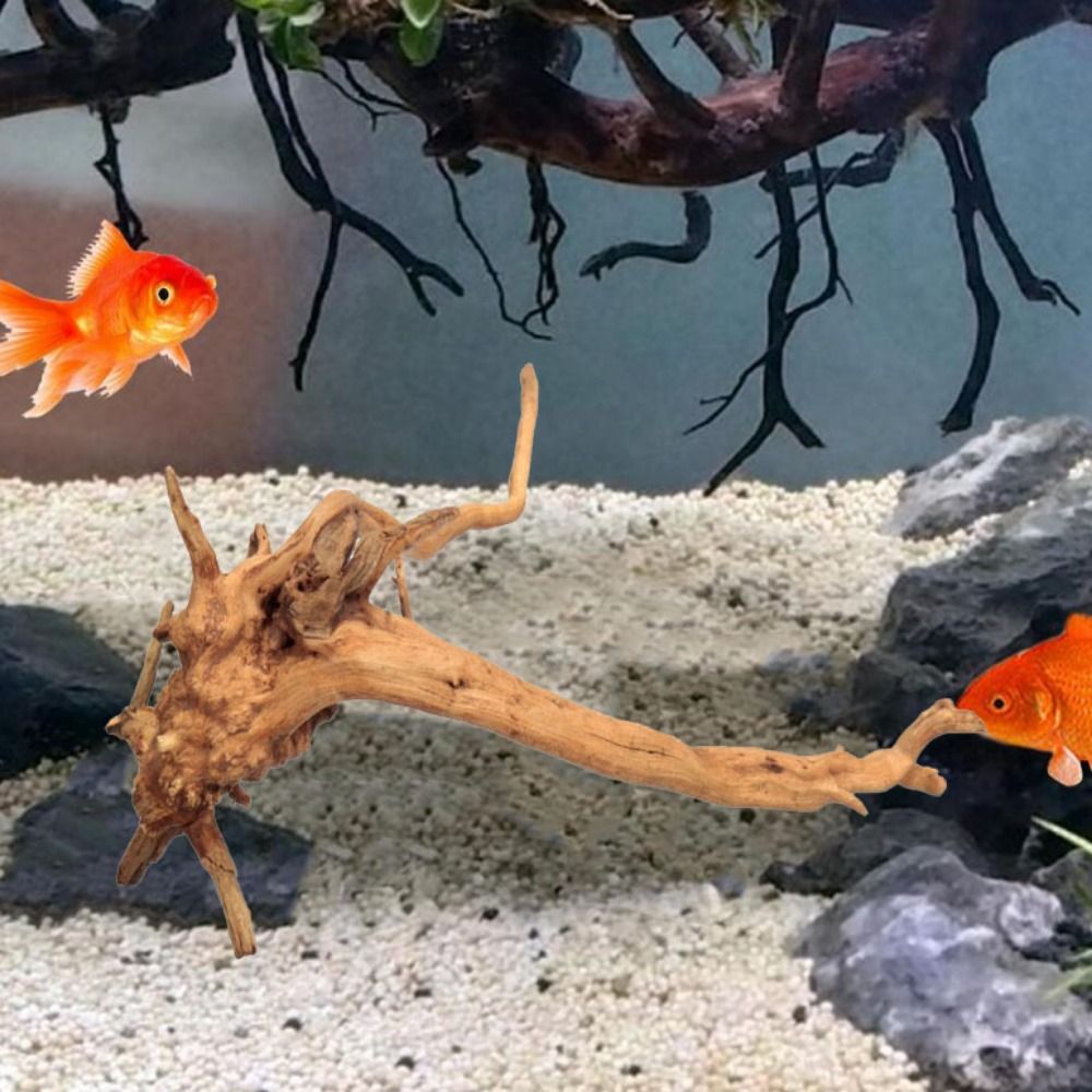 ลำต้นของต้นไม้ธรรมชาติตกแต่งงา - Aquarium Plant Root Tabs บทวิจารณ์และราคา
