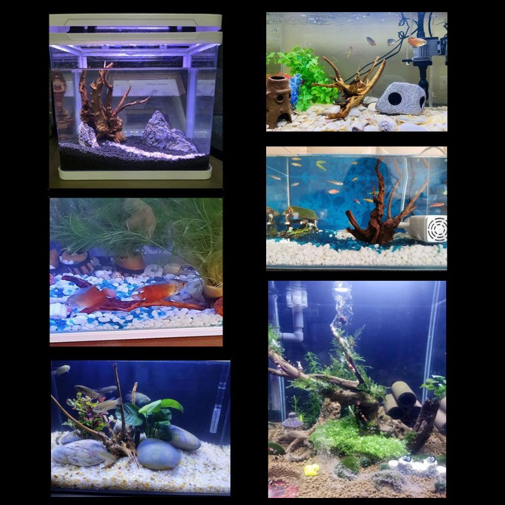 ลำต้นของต้นไม้ธรรมชาติตกแต่งงา - Aquarium Plant Root Tabs บทวิจารณ์และราคา