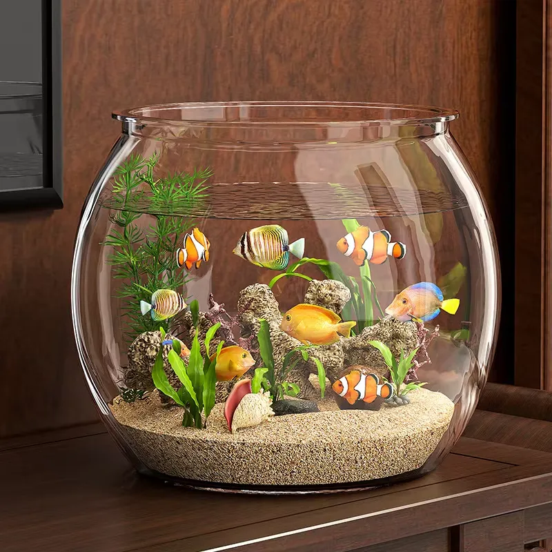 ตู้ปลาพลาสติกใสขนาดกะทัดรัดคุณ - Planted Aquarium For Goldfish บทวิจารณ์และราคา
