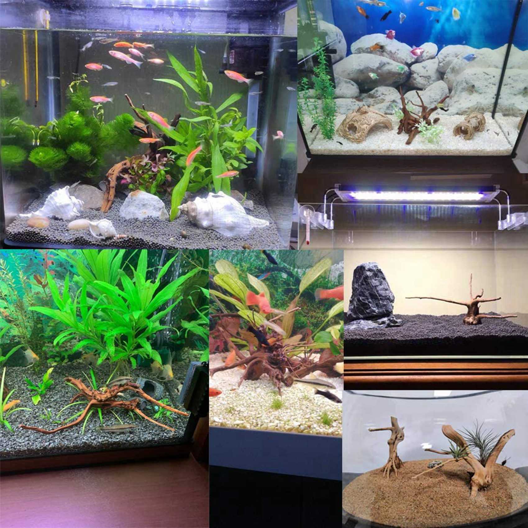 ลดราคา-ไม้ลอยน้ำขนาดเล็กสำหรับ - Aquarium Plant Root Tabs บทวิจารณ์และราคา