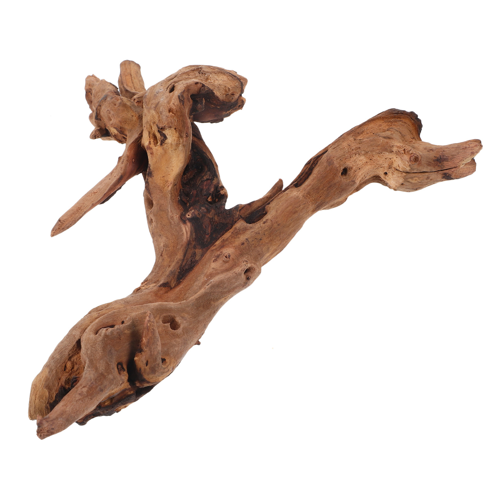 ของตกแต่งตู้ปลาไม้แห้ง 20-25 ซ - Aquarium Plant Root Tabs บทวิจารณ์และราคา