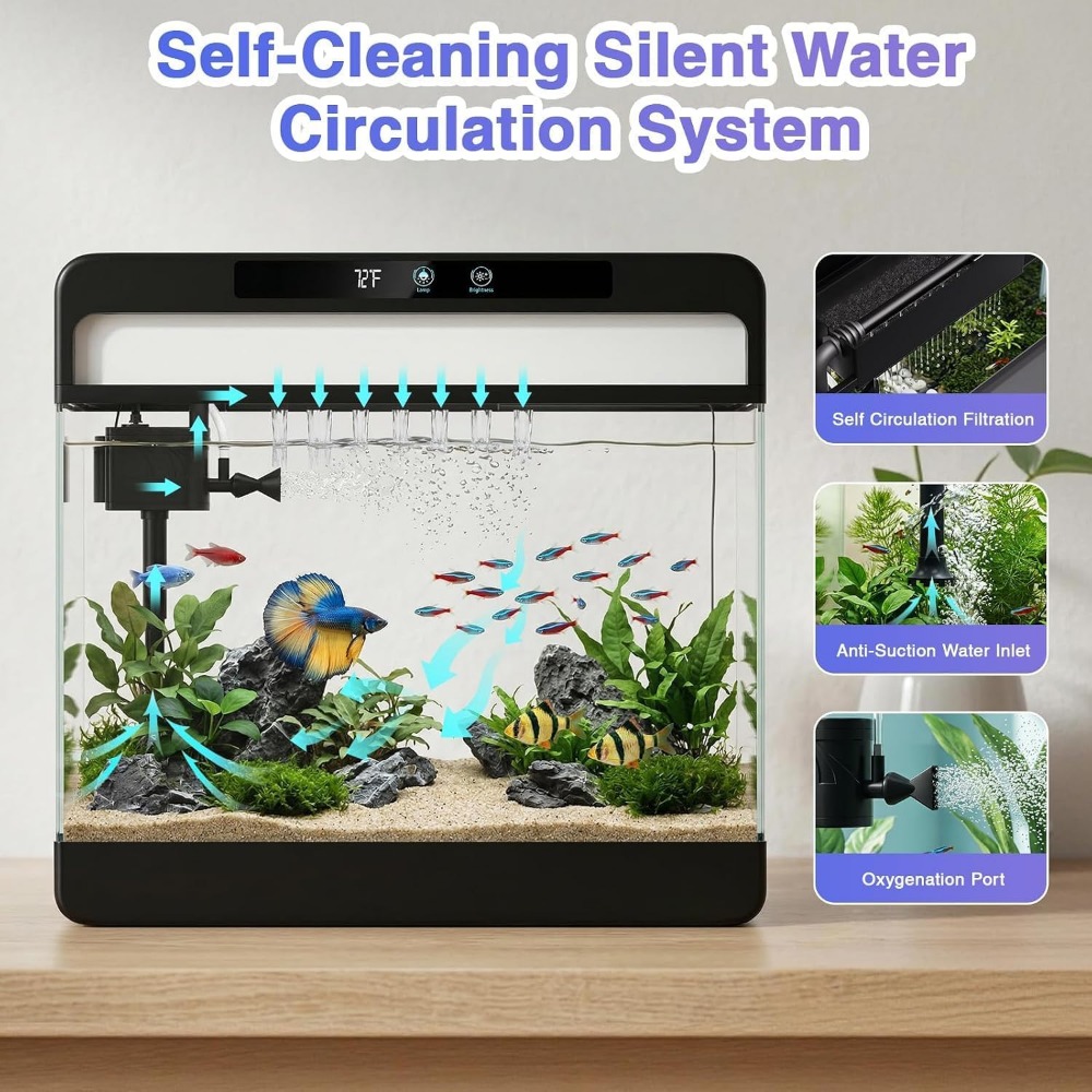 ชุดเริ่มต้นตู้ปลา 3 แกลลอน - ต - Planted Aquarium Starter Kit บทวิจารณ์และราคา