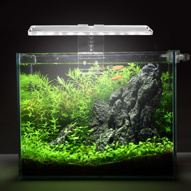 LED Aquarium โคมไฟพืชเหมาะกับถ - Planted Aquarium Best Fish บทวิจารณ์และราคา
