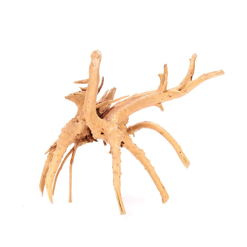 ของตกแต่งตู้ปลาไม้ธรรมชาติ 4 ช - Aquarium Plant Root Tabs บทวิจารณ์และราคา