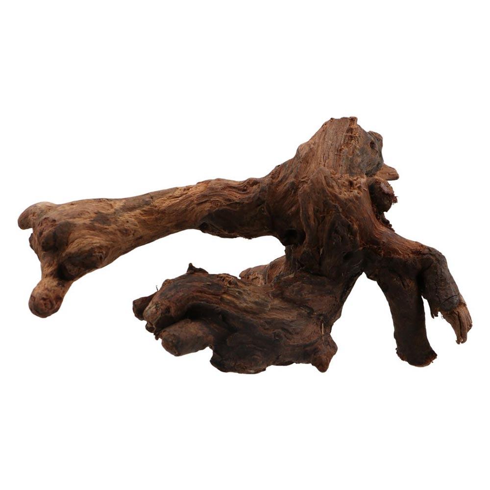 ไม้ปะการังรูปทรงแปลกตา ไม้ธรรม - Aquarium Plant Root Tabs บทวิจารณ์และราคา