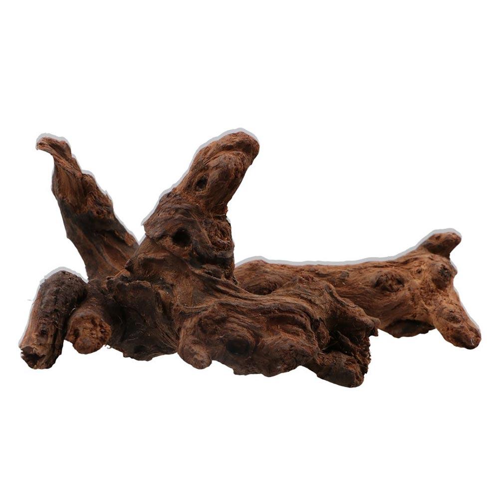 ไม้ปะการังรูปทรงแปลกตา ไม้ธรรม - Aquarium Plant Root Tabs บทวิจารณ์และราคา