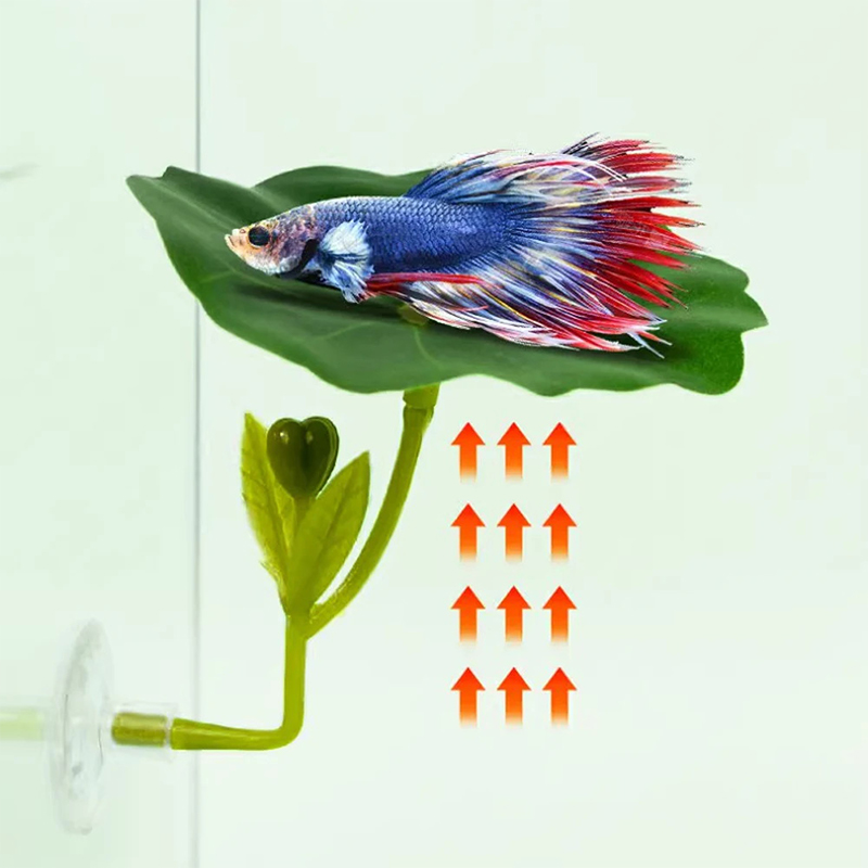 เปลญวนใบไม้สีเขียว 1 ชิ้น สำหร - Planted Aquarium For Betta บทวิจารณ์และราคา