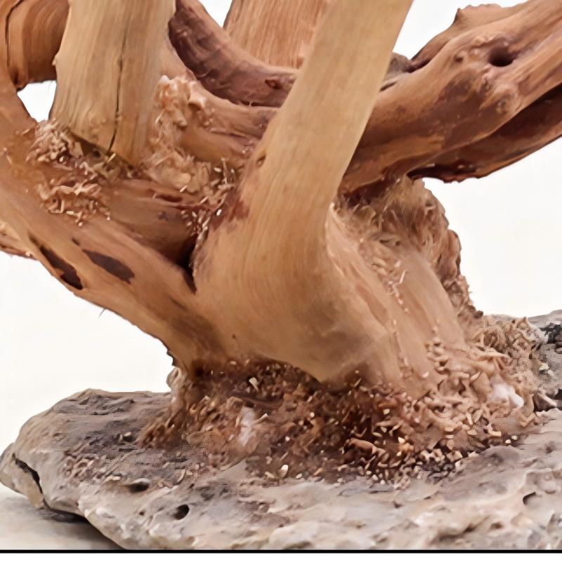 1PC Aquarium ภูมิทัศน์เครื่องป - Aquarium Plant Root Tabs บทวิจารณ์และราคา